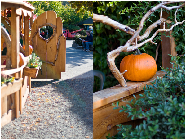 treehouse-&-pumpkin